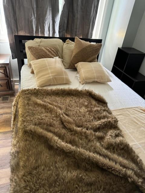 Apartament Heart Of The Burgh!! North Side Pittsburgh! Zewnętrze zdjęcie